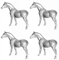 horses